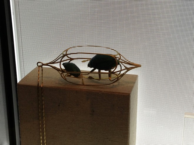 scarabées